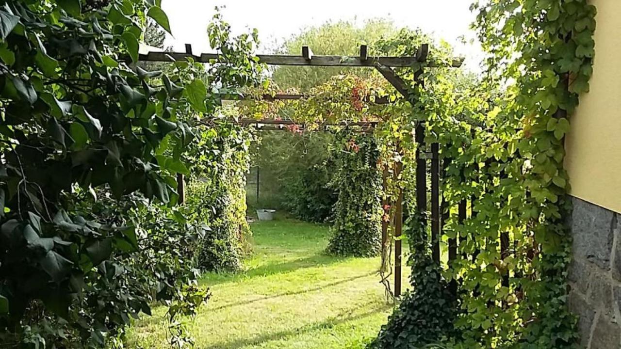 Genesungsort Landhaus Dammert Oppach 外观 照片